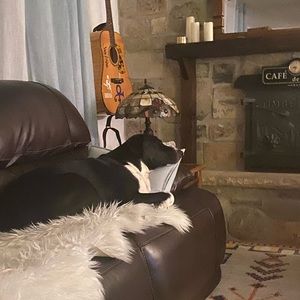 Meet your Posher, Aicha